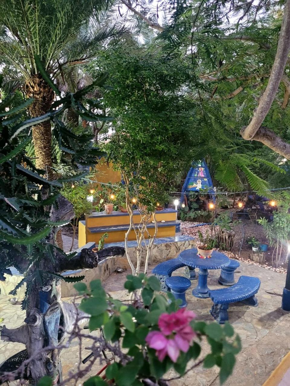 Steviewonderland Playa El Yaque Ξενοδοχείο Εξωτερικό φωτογραφία